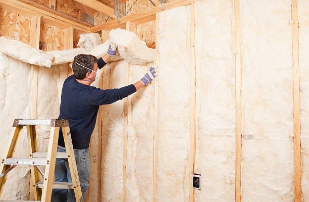 Best Blown-In Insulation  in Ramsey, NJ